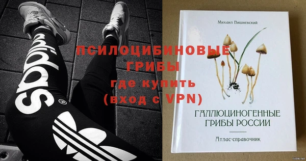 спиды Богородск