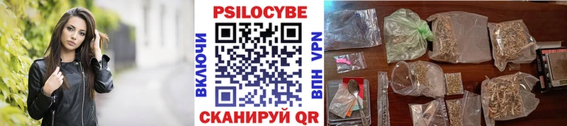OMG   Мглин  Псилоцибиновые грибы прущие грибы 