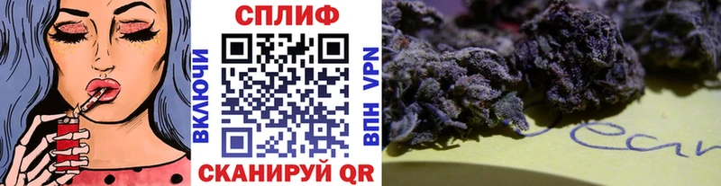 Бошки марихуана сатива  hydra как зайти  Мглин 
